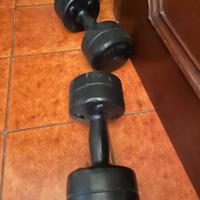 pesi da palestr