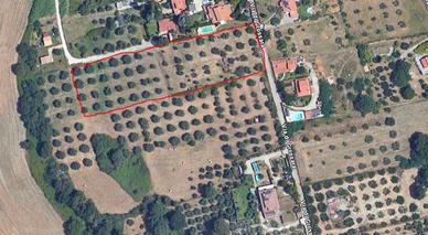 Terreno localita' grossara formello