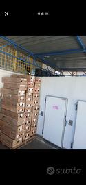 Cella frigorifera 5.10x2.75x2.60h