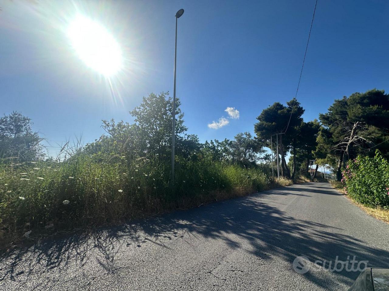 Terreno Agricolo San Filippo del Mela [TAF008VCG] - Vista 3