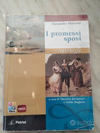 i promessi sposi