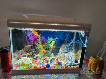 acquario completo 30 litri 