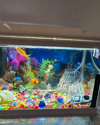 acquario completo 30 litri 