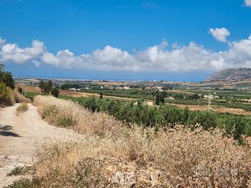 Terreno e Ruderi 19.000 mq. Rosariello/Crocci