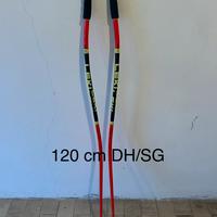 Bastoni sci Leki da gara e Parabraccia/parastinchi