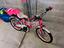 Immagine 2