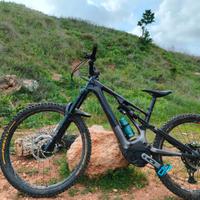 Turbo Levo Expert 2023 carbon