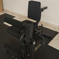 Leg Extension/ Curl Machine