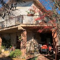 Indipendente con terreno