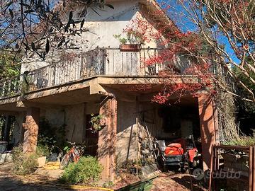 Indipendente con terreno