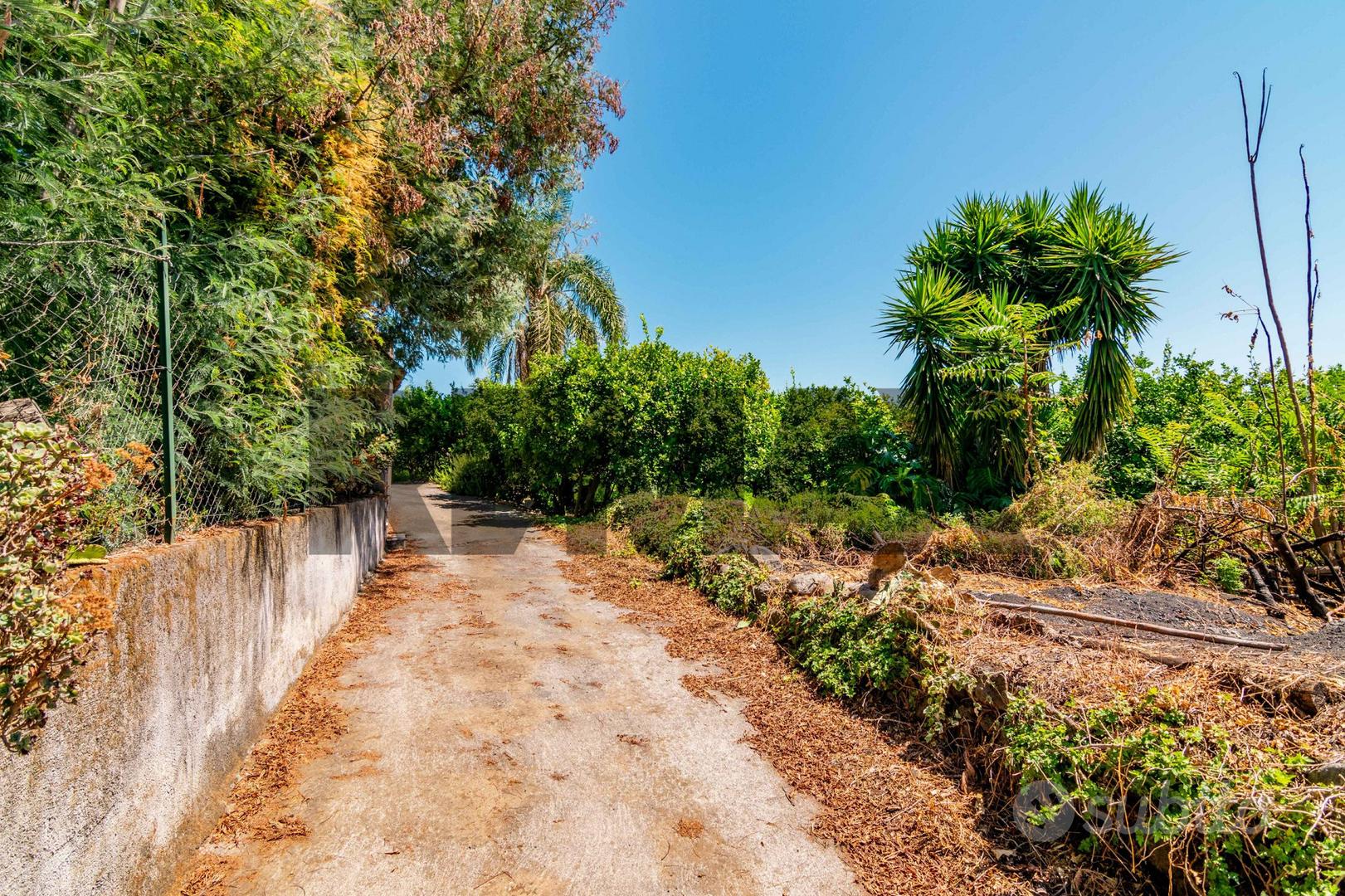 Terreno - Santa Venerina - Vista 4