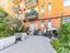 Immagine 22