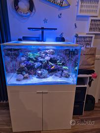 Acquario AQPET 90x50x50 200/250 Litri