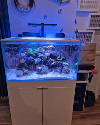 Acquario AQPET 90x50x50 200/250 Litri