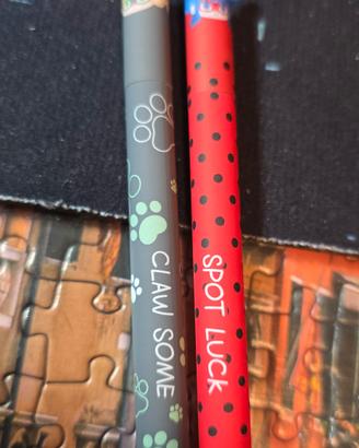 2 penne cancellabili MIRACULOUS 