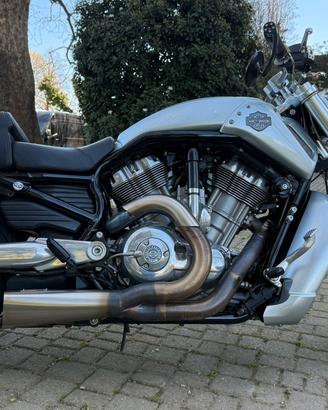 Harley Davidson V-Rod Muscle