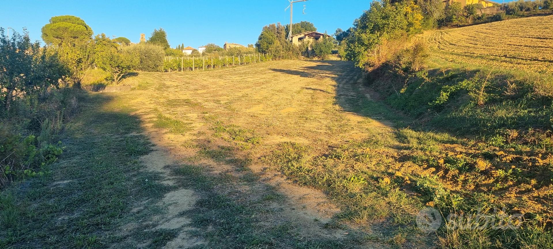 Terreno agricolo collinare - Vista 2