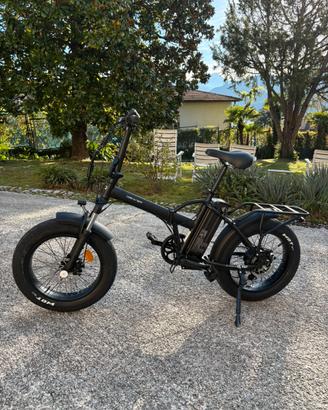 Bicicletta elettrica
