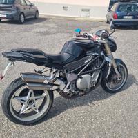 moto mv agusta brutale f750 nessun problema