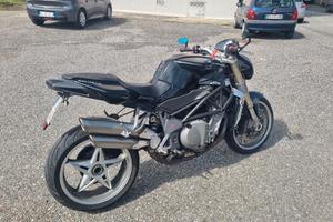 moto mv agusta brutale f750 nessun problema