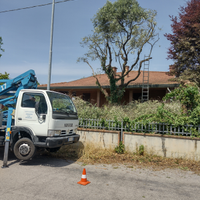 Taglio alberi sistemazione coppi e tegole