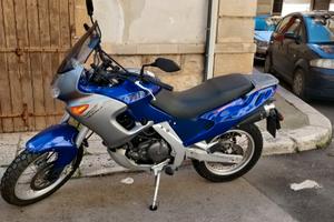 Pegaso cube 650