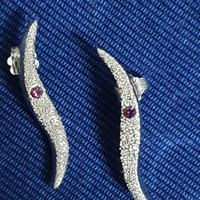 Orecchini in argento