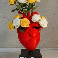 Vaso cuore anatomico stampato in 3d