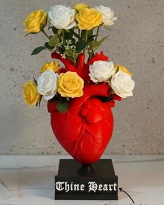 Vaso cuore anatomico stampato in 3d