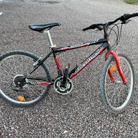 Bicicletta bambino