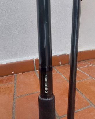 Canna e mulinello da carpfishing 