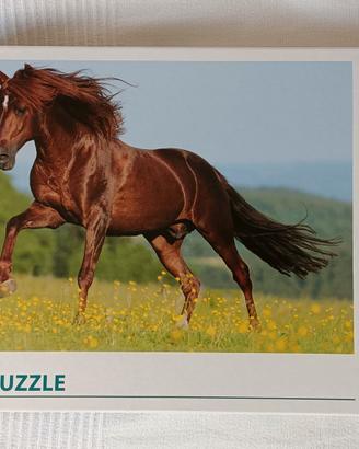 puzzle 500 pezzi con cavallo