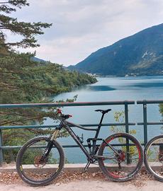 Bici da enduro Cube stereo full carbon
