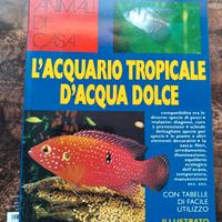 L' acquario tropicale di acqua dolce