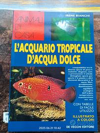 L' acquario tropicale di acqua dolce