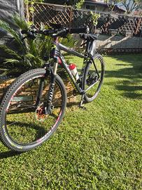 mountain bike