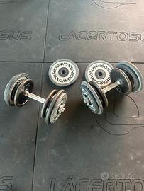 Set Manubri componibili con dischi Technogym 46kg