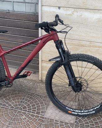 Canyon stoic 3