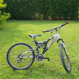 bicicletta 