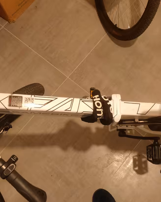 bicicletta elettrica