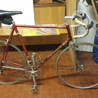 Bici d' epoca Viner