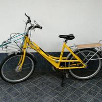 Bici cargo 