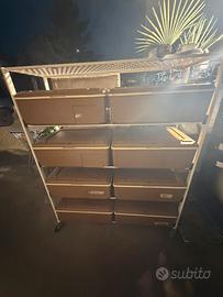 Scaldavivande florida