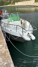 Elan 17cc