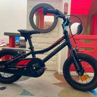 Bici Giant Animator F /W 12