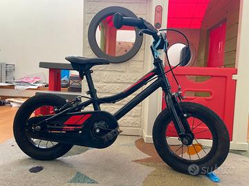 Bici Giant Animator F /W 12