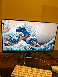 KOORUI 24 Pollici Gaming Monitor 165Hz 1080p 1ms