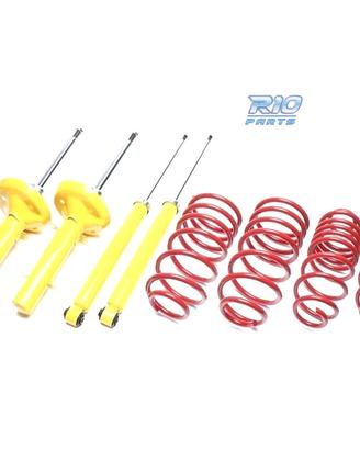 KIT SOSPENSIONE SPORTIVA PER CITROËN