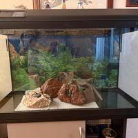 Acquario Askoll timer incorporato 170 Litri