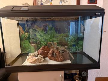 Acquario Askoll timer incorporato 170 Litri